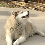 Entry image for Brennan