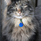 Entry image for Twilight