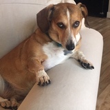 Entry image for Molly