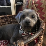 Entry image for Bill