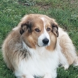 Entry image for Governor