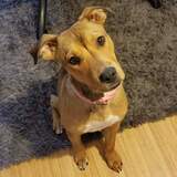 Entry image for Alaska