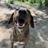 Entry image for Barb