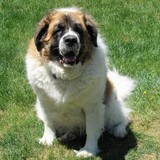 Entry image for Lucie