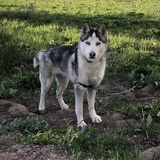 Entry image for Bryce 