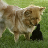 Entry image for Kayla