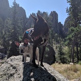 Entry image for Beatrice and Pig