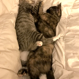 Entry image for Skye and Emma