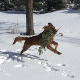 Entry image for Jaxson