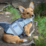 Entry image for Kibbles 