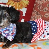 Entry image for Fresca