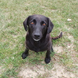 Entry image for Maui