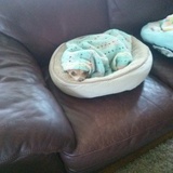 Entry image for Tigger