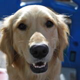 Entry image for Sophie 