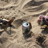 Entry image for Jeter Ron Penguin Von Winkle & Guapo