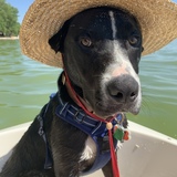 Entry image for Cooper Jay