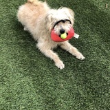 Entry image for Kevin