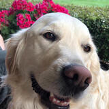 Entry image for Emma