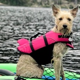 Entry image for Patrick Henry