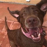 Entry image for Midna Shanna Marie