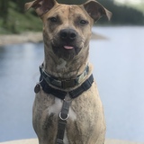 Entry image for Tucker