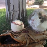 Entry image for Larry