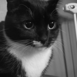 Entry image for Chloe