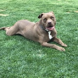 Entry image for Murphy