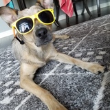 Entry image for Harper