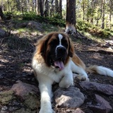 Entry image for George