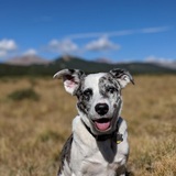 Entry image for Seger