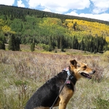 Entry image for Chyna