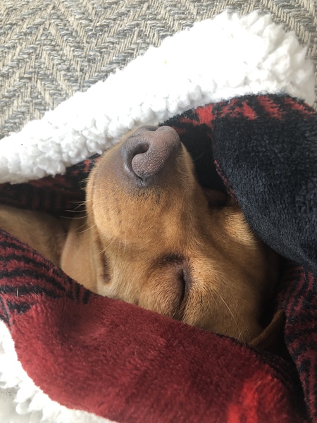 Entry image for Mikey. Clicking this image will show a larger photo