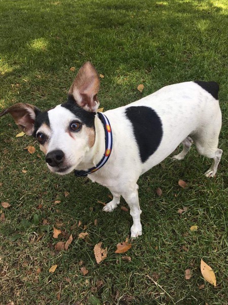 Entry image for Juliet. Clicking this image will show a larger photo