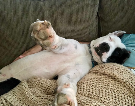 Entry image for Crash. Clicking this image will show a larger photo