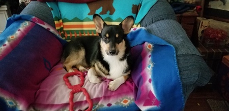 Entry image for Otis Hernandez. Clicking this image will show a larger photo