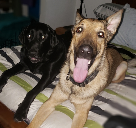 Entry image for Duff and Riggs. Clicking this image will show a larger photo