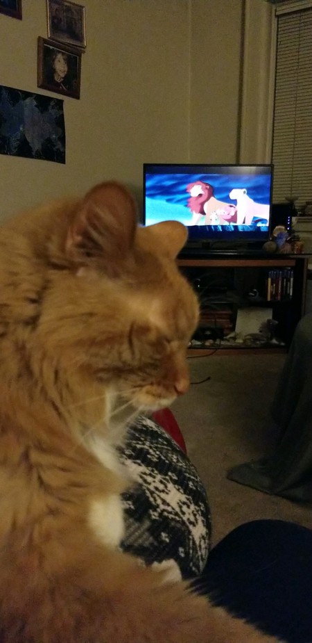 Entry image for Oliver. Clicking this image will show a larger photo