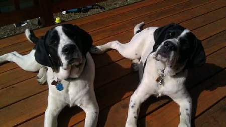 Entry image for Meika & Heidi. Clicking this image will show a larger photo