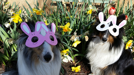 Entry image for Hero&Thor. Clicking this image will show a larger photo