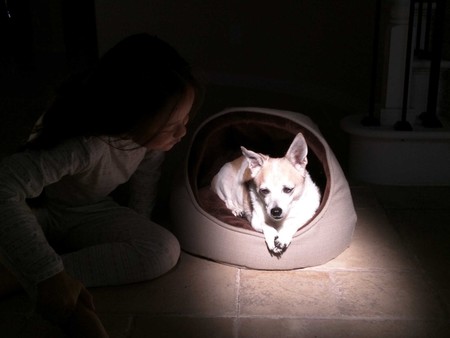 Entry image for Big Mack (Macky). Clicking this image will show a larger photo