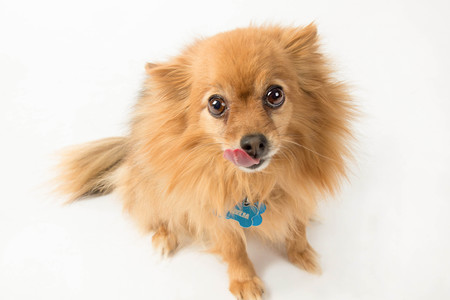 Entry image for Ophelia. Clicking this image will show a larger photo