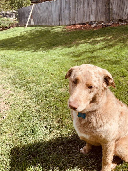 Entry image for Alaska. Clicking this image will show a larger photo