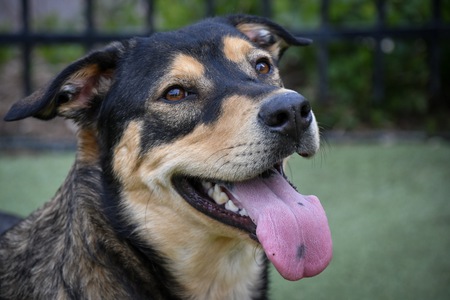 Entry image for Autumn. Clicking this image will show a larger photo