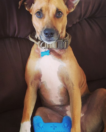 Entry image for Mollie. Clicking this image will show a larger photo