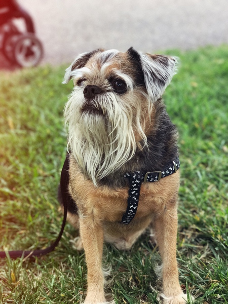 Entry image for Kyle . Clicking this image will show a larger photo