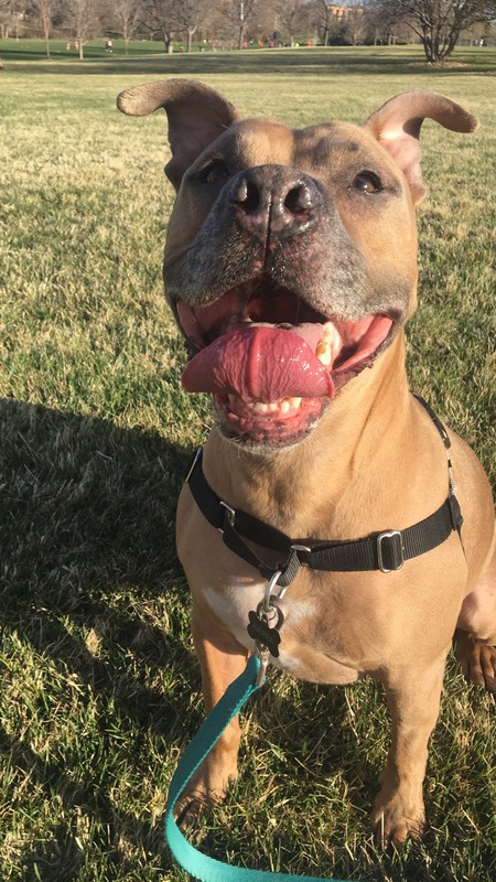 Entry image for Kierra. Clicking this image will show a larger photo