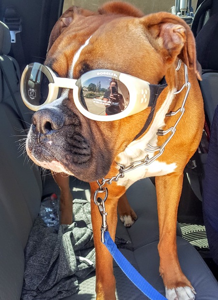 Entry image for Thomas James . Clicking this image will show a larger photo