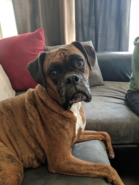 Entry image for Leila. Clicking this image will show a larger photo