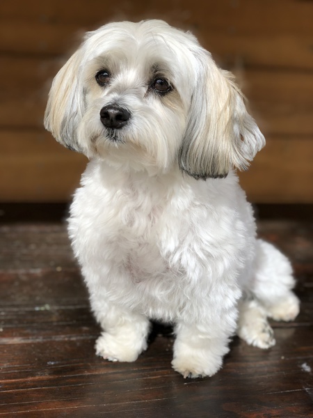 Entry image for Charlie. Clicking this image will show a larger photo